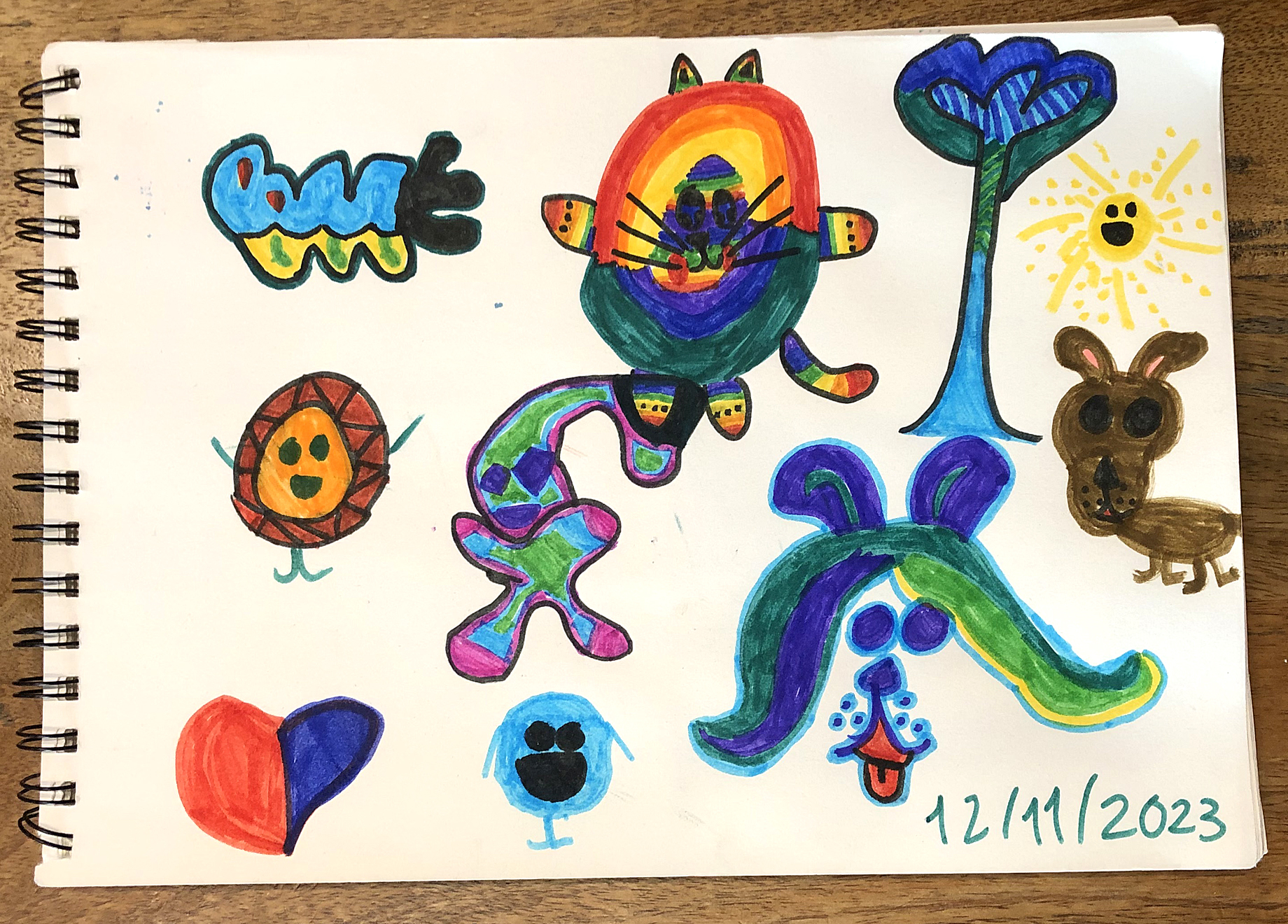 um sol, um cam e o resto arte